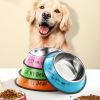 Stainless steel dog bowl; color anti-skid dog bowl; cat bowl - 26cm - Blue cartoon