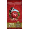 Purina ONE Dry Dog Food Lamb and Rice Formula - Purina ONE