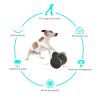 PawPartner Dog Tumbler Interactive Toys Increases Pet IQ Slow Feeder Labrador French Bulldog Swing Training Food Dispenser - Green - China