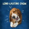 Purina Busy Original Long Lasting Chew for Dogs, 21 oz Pouch - Busy