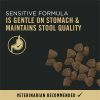 Purina Pro Plan Sensitive Skin and Sensitive Stomach Dog Food Salmon and Rice Formula - Purina Pro Plan