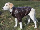 Wuff-Rider Fashion Suede Stitched Pet Coat - Small